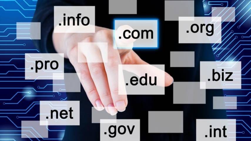 Domain Renewal Service