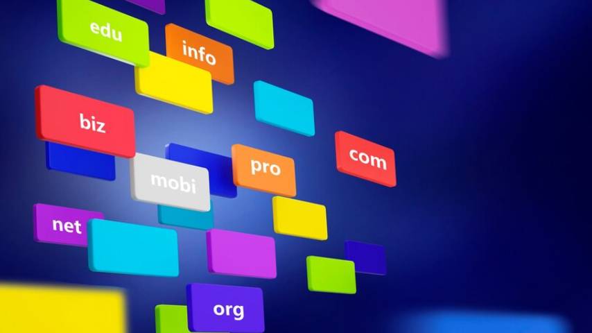 Bulk Domain Registration Service
