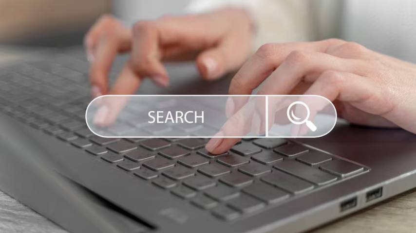 Bulk Domain Name Renewal Service