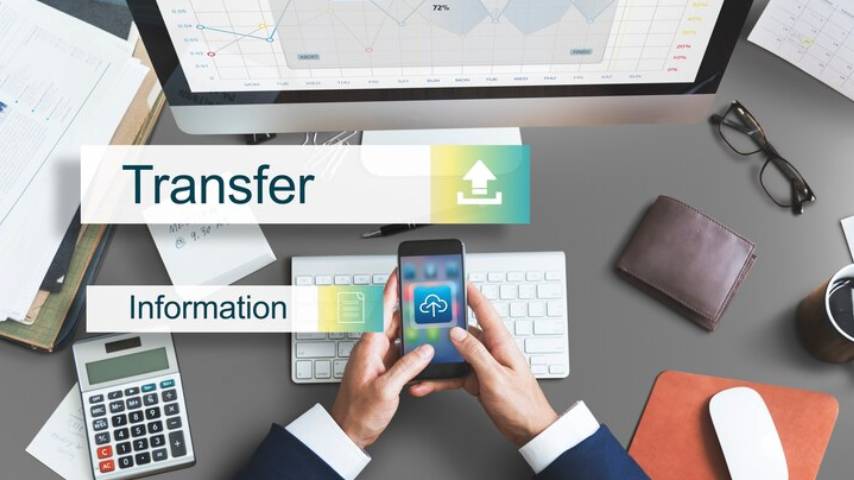 Bulk Domain Name Transfer and Renewal Service